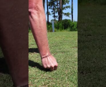 BirdieClip golf tee holder!