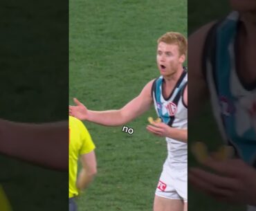 no no no no mate #afl #football #footy #willemdrew #claytonoliver