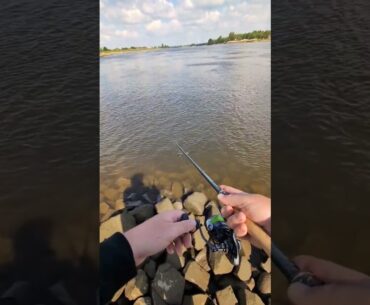Köderführung beim Zanderangeln im Fluss! #zander #zanderangeln