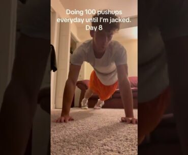 Doing 100 pushups everyday until I’m jacked: Day 8 💪🏻 #shorts #shortsfeed #pushups