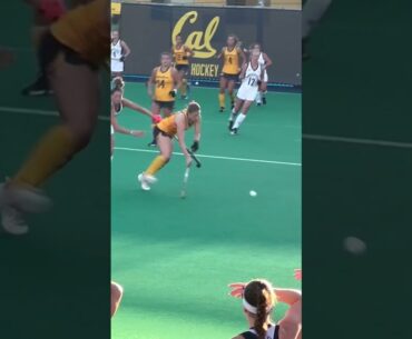 #FieldHockey #HockeySwing #fyp #waitforit