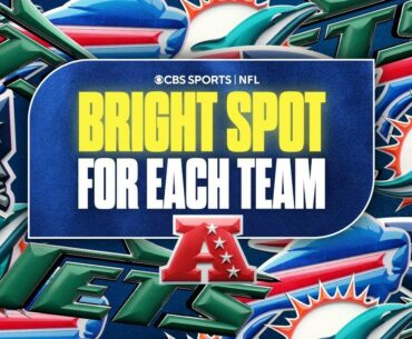 One Bright Spot for EACH AFC East Team: Jets, Bills, Dolphins, & Patriots 🌟🏈