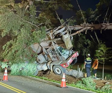 Cement mixer truck crashes into tree near TN golf course