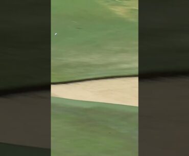 🐦 What a birdie by Blandy!