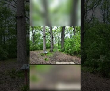 Disc Golf Woods Challenge: Will I Ever Escape?