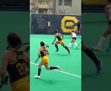#FieldHockey #HockeySwing #fyp #waitforit