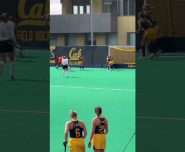 #FieldHockey #HockeySwing #fyp #waitforit
