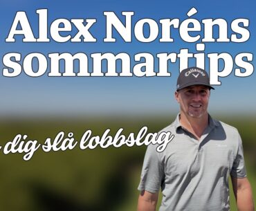 Alex Noréns sommartips – så slår du ett lobbslag