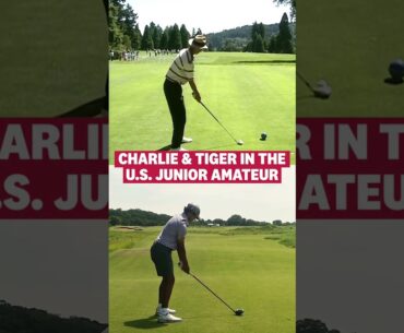 Tiger ➡️ Charlie