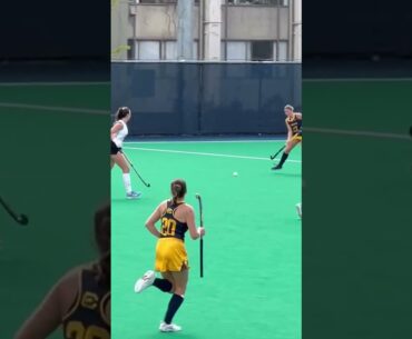 🏑