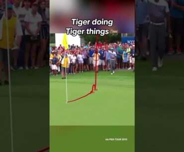 Expect anything different?? Tiger Woods magic at the 2015 Wyndham Championship 🐅