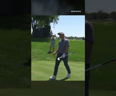 Thorbjørn Olesen hole-in-one at TPC Twin Cities! #golf #shorts