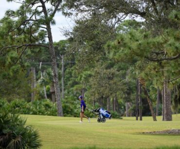 why golfing appeals to this reporter