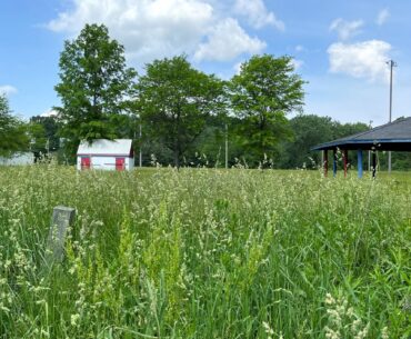 Niss purchases former Hamilton Park for $50K, plans 9-hole golf course on site