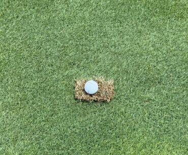 Finally hit a drive down the middle of the fairway and this is my reward