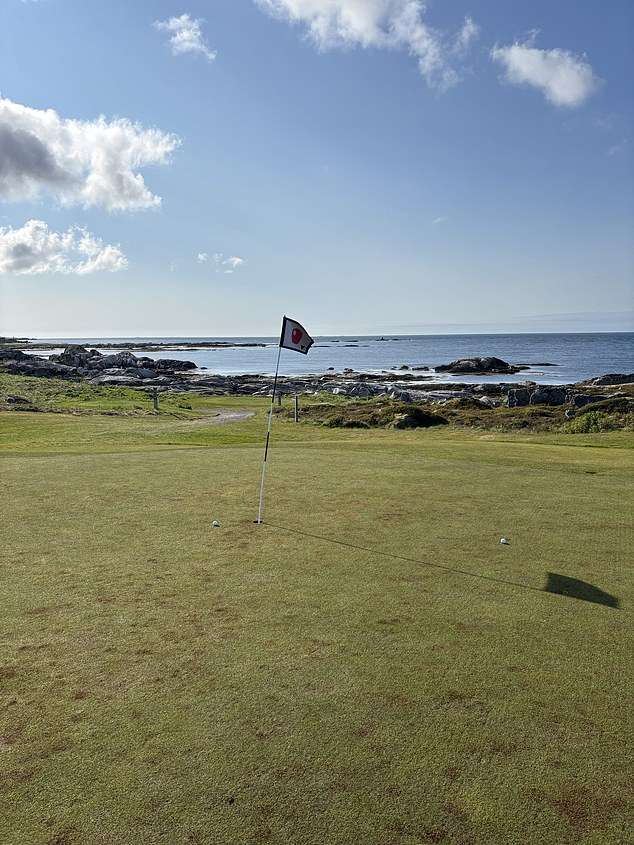 The greens do need a bit more love and attention, but the weather does make that tricky