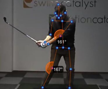 How do you decide who to model your swing after? ... and where to begin pulling insights from visual analysis tools?
