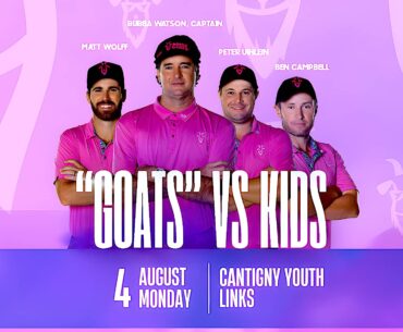 LIV Range Goats