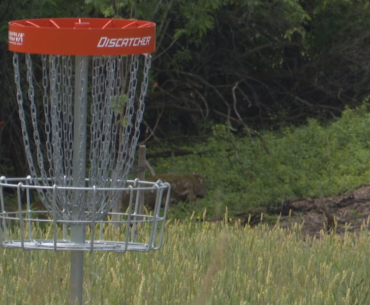 Have you spotted a new disc golf course in Watertown?
