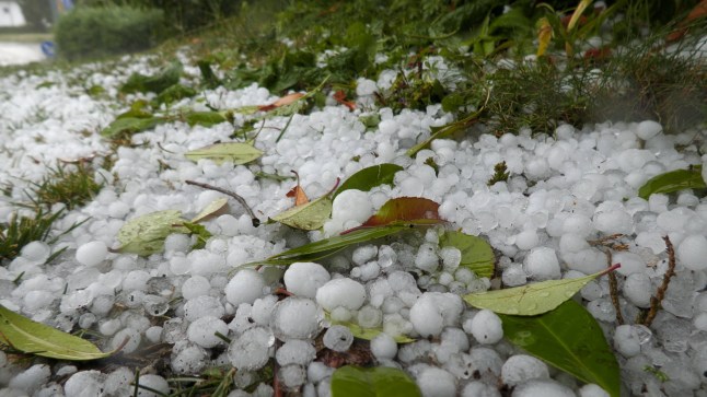 Severe thunderstorms and a hailstorm brought the heat in Baden-W??rttemberg to an abrupt end. Around 1 p.m., violent thunderstorms with heavy rain and hail struck Empfingen. A hail of table tennis balls smashed numerous plants. The football field was covered in snow. Traffic on the A81 near Empfingen was at a standstill due to the hail. Even more hail was recorded in the neighboring town of Gruol. The hailstones were several centimeters high. A cold blanket of fog settled over the landscape. This was caused by evaporative cooling from the hail. Above the hail, it was icy cold. The thermometer read only 0.6 ??C. A local resident was also completely surprised. When she went to work, the temperature was still 32 ??C., Credit:IMAGO/Bernd M??rz / Avalon