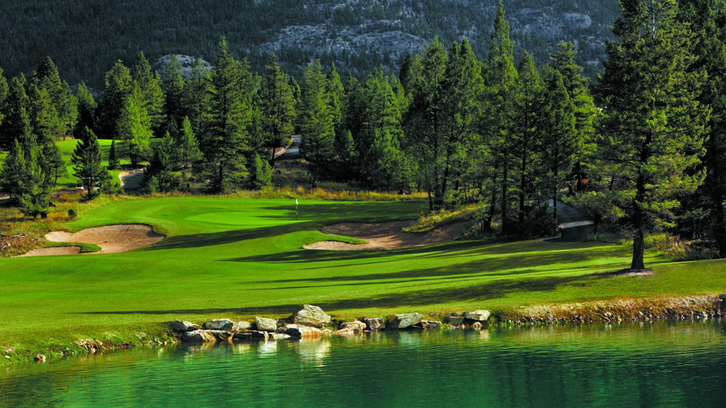 Course Image