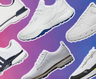 Buyer’s Guide and things you need to know