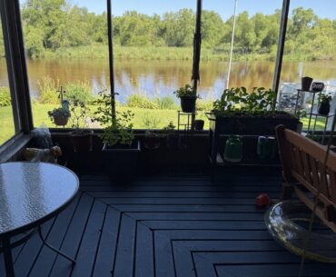 Looking at trying to make a cheaper set up on my screened in porch. Advice wanted