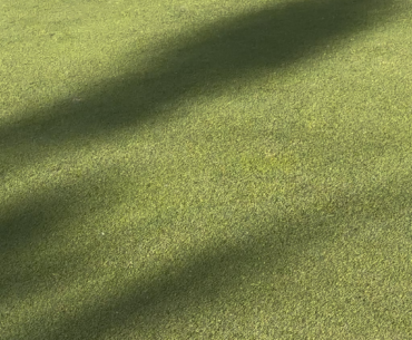Random dude i got paired with got his first hole in one