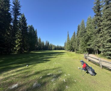 Walked 18 by myself today. It was incredible