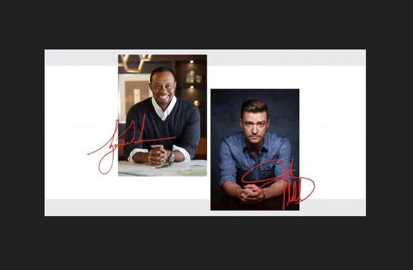 Woods and Timberlake