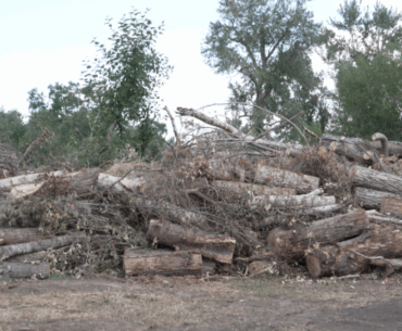 Linda Vista Golf Course continues recovery a year after July 2024 wind storm