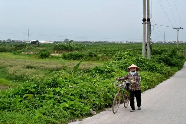 Trump International Vietnam