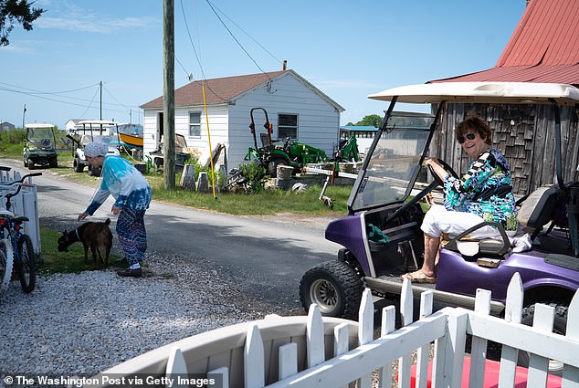 One comment recalled seeing a father with his wife and daughter driving around in a golf cart that 'whipped out in front of me like he forgot he wasn't driving his BMW'