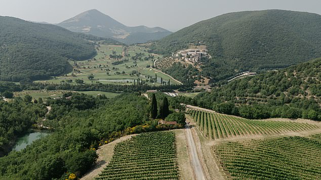 When the project is finished, their own olive oil and wine will be produced on site