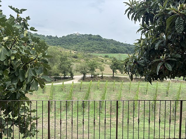 Umbria has the right conditions for wine and there are plenty of places to get a good tasting