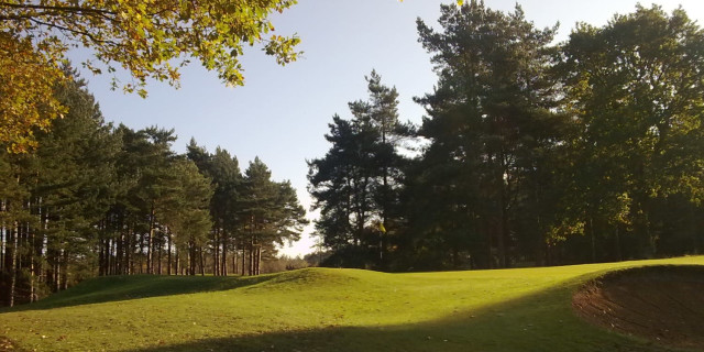 Beau Desert