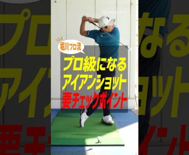 プロ級になるアイアンショットのチェックポイントを堀川未来夢が解説！ #ゴルフ #ゴルフレッスン #堀川未来夢 #アイアン #飛距離アップ