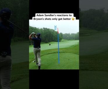 Adam needs to be in a commentating booth 😂