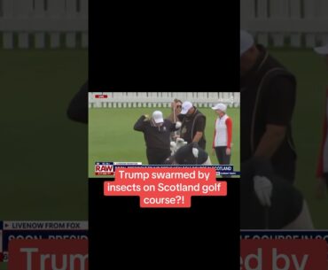Trump swarmed by insects on golf course?!