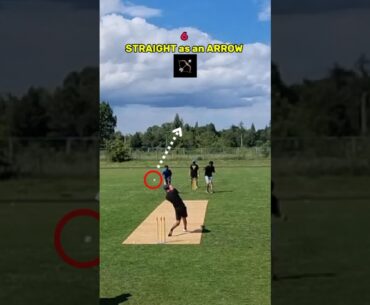 6 as an Arrow 🏹 #cricket #best #sports #cricketshorts #highlights #trending #today