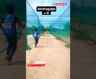 Art of Leg Spin Bowling 🎯 Master the Turn!  #cricket  #shorts  #legspin
