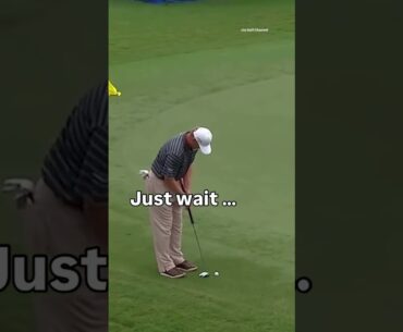 “Oh Ernie” 😂😭 Ernie Els misses the green with his putter during the 2013 Wyndham Championship