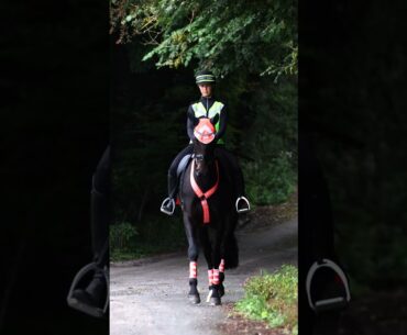 Harry Hall Hi Viz – Clothing/Accessories and Masta horse Hi Viz items