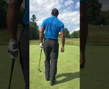 Tiger Woods STINGER is a beautiful thing! #tigerwoodspgatour2005