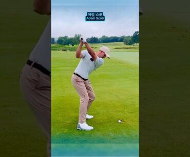 아담 스콧 👍 #golf #golfswing #golfpractice #pga #golfplayer #adamscott #골프