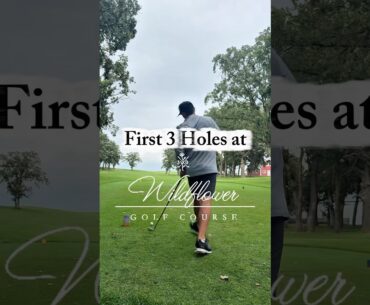 First 3 holes at Wildflower Golf Course ⛳️ 🪻 #golfswing #golfcourse #golfskill #asmr