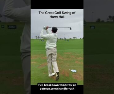 Harry Hall Golf Swing