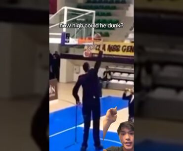 What if the worlds tallest person had the worlds highest vertical jump?