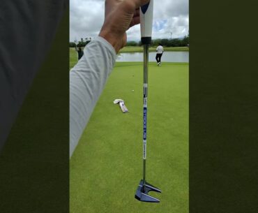 Odyssey S2S 7 Cruiser #golfgear #ilovegolfing #golf #putter #odyssey  #golftechnique #puttingstroke