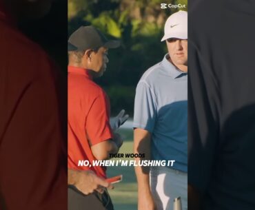 Tiger woods